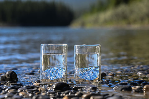 Whistler Blackcomb Collection Glass Set