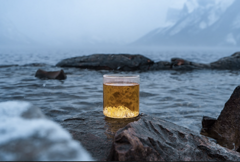 Lake Minnewanka Tumbler